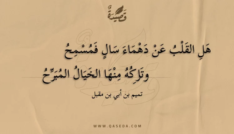 قصيدة هل القلب عن دهماء سال فمسمح