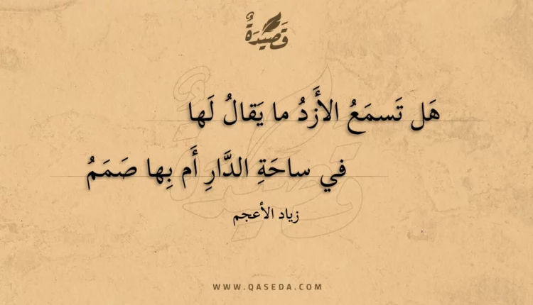 قصيدة هل تسمع الأزد ما يقال لها