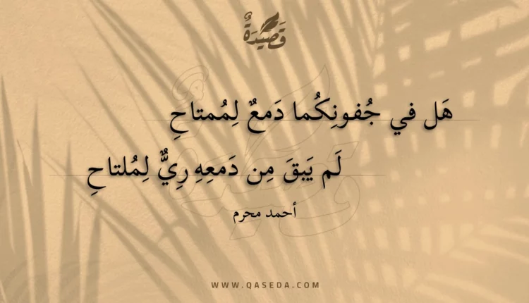 قصيدة هل في جفونكما دمع لممتاح