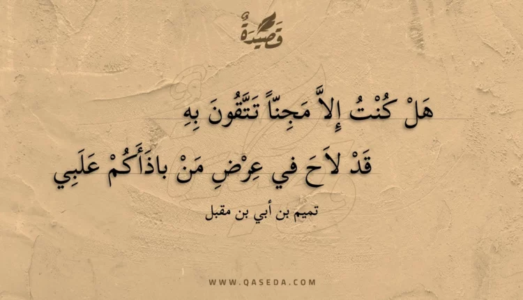 قصيدة هل كنت إلا مجنا تتقون به