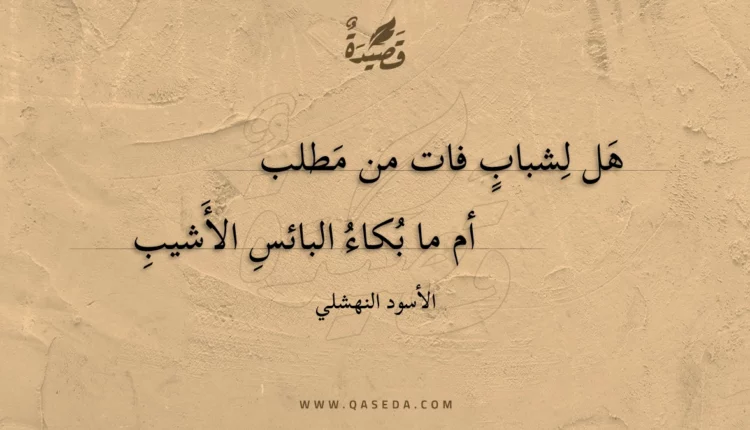 قصيدة هل لشبابٍ فات من مطلب