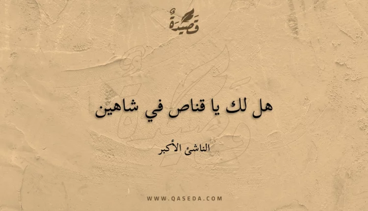 قصيدة هل لك يا قناص في شاهين