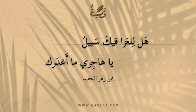 قصيدة هل للعزا فيك سبيل