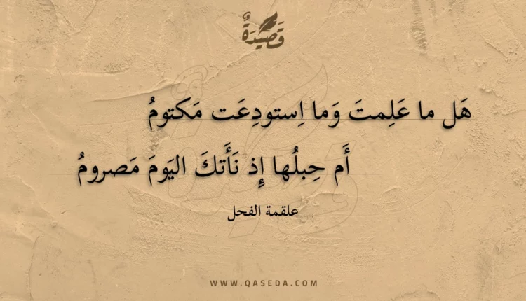 قصيدة هل ما علمت وما استودعت مكتوم
