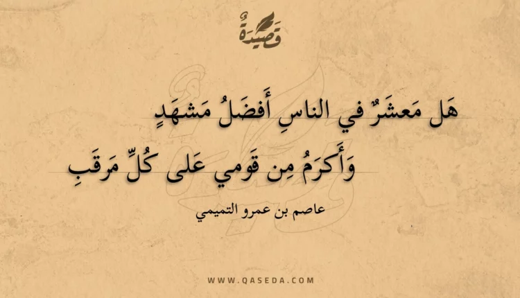 قصيدة هل معشر في الناس أفضل مشهد