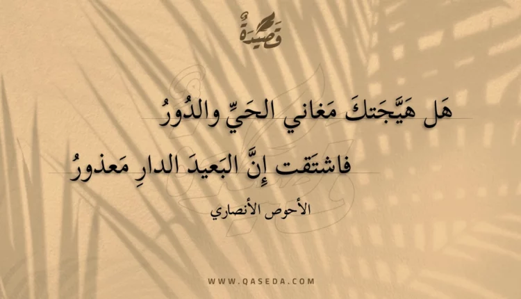 قصيدة هل هيجتك مغاني الحي والدور