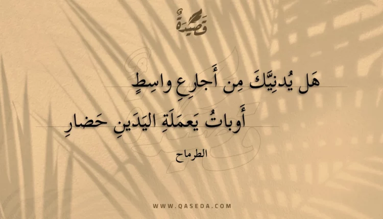 قصيدة هل يدنيك من أجارع واسط
