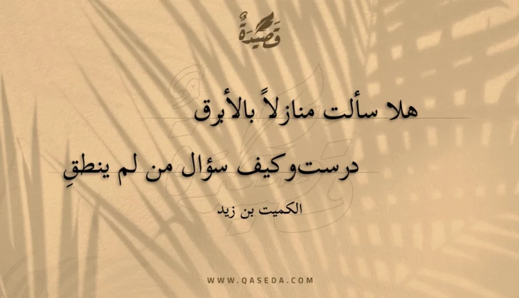 قصيدة هلا سألت منازلا بالأبرق