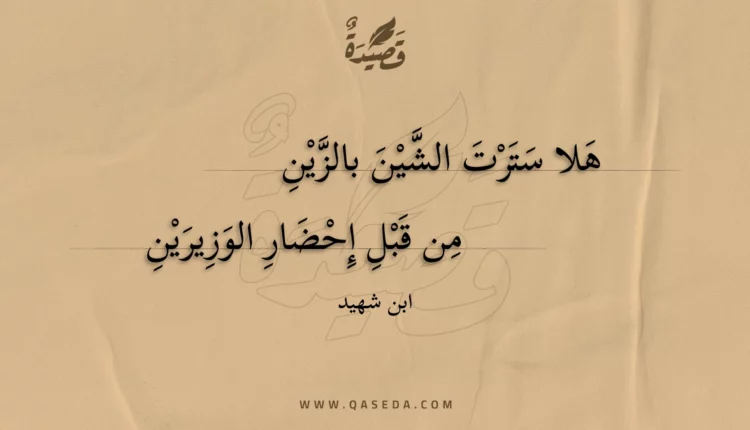 قصيدة هلا سترت الشين بالزين