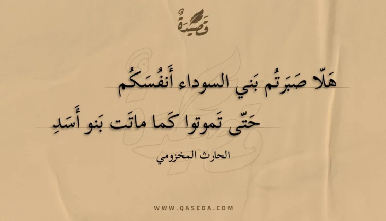 قصيدة هلا صبرتم بني السوداء أنفسكم