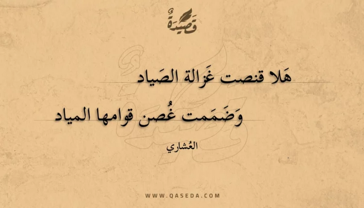 قصيدة هلا قنصت غزالة الصياد