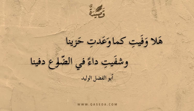 قصيدة هلا وفيت كما وعدت حزينا