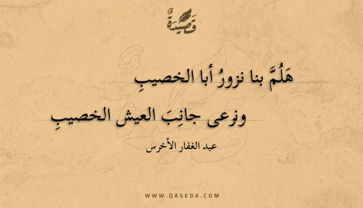 قصيدة هلم بنا نزور أبا الخصيب