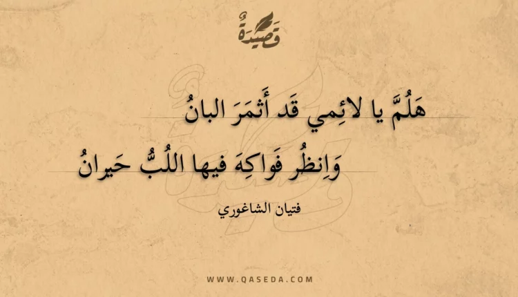 قصيدة هلم يا لائمي قد أثمر البان