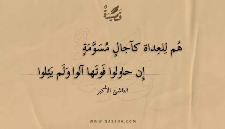 قصيدة هم للعداة كآجال مسومة