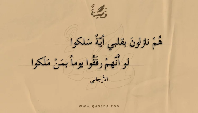 قصيدة هم نازلون بقلبي أية سلكوا