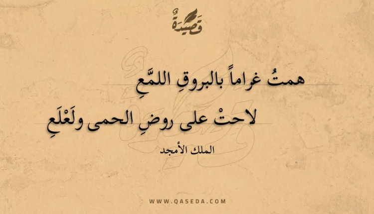قصيدة همت غراما بالبروق اللمع