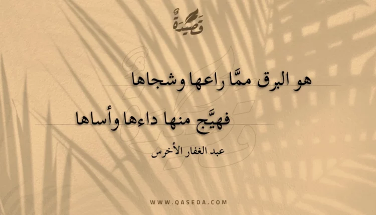 قصيدة هو البرق مما راعها وشجاها