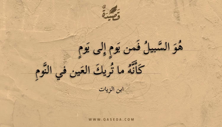 قصيدة هو السبيل فمن يوم إلى يوم