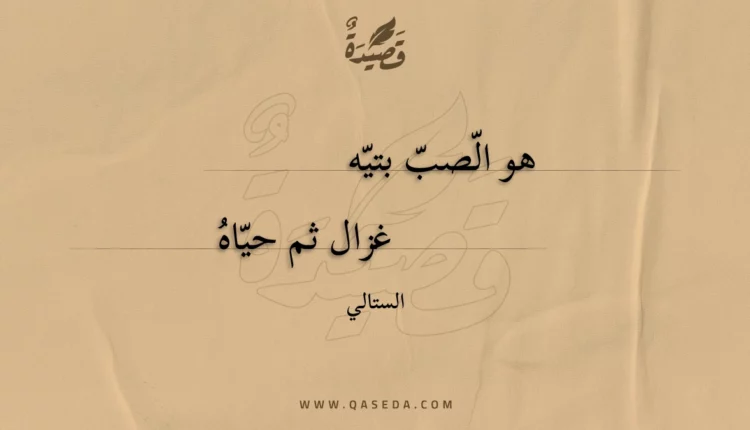 قصيدة هو الصب بتيه