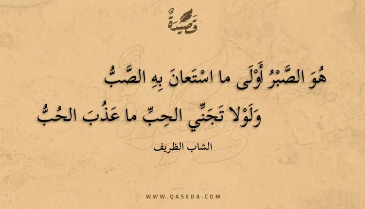 قصيدة هو الصبر أولى ما استعان به الصب