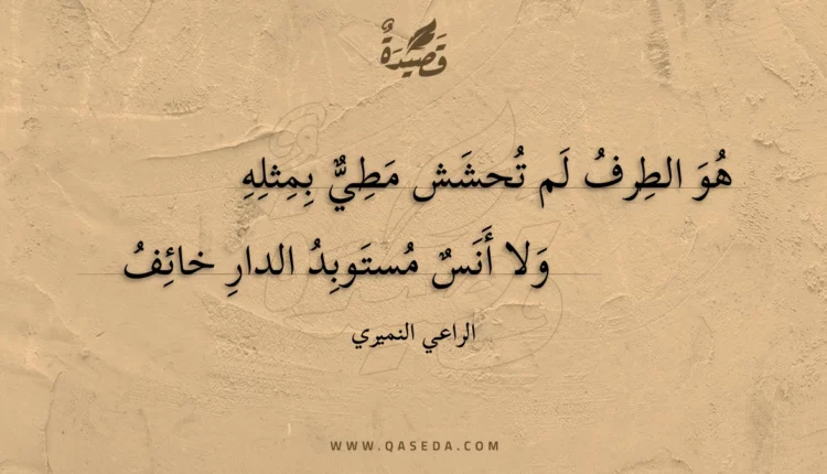 قصيدة هو الطرف لم تحشش مطي بمثله