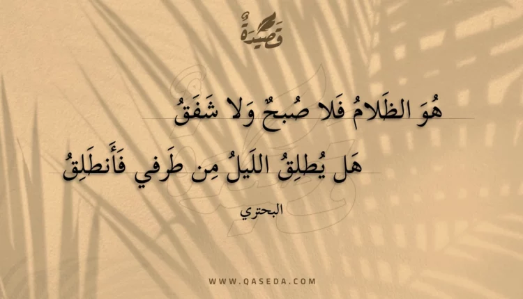 قصيدة هو الظلام فلا صبح ولا شفق