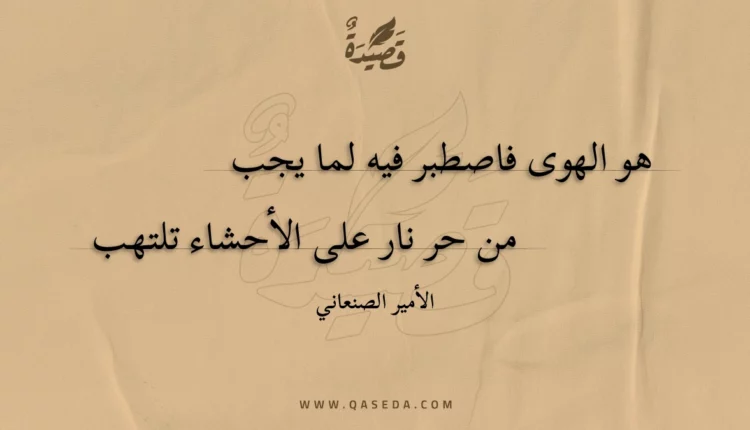 قصيدة هو الهوى فاصطبر فيه لما يجب