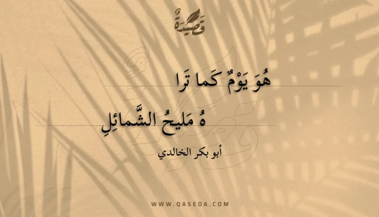 قصيدة هو يوم كما تراه