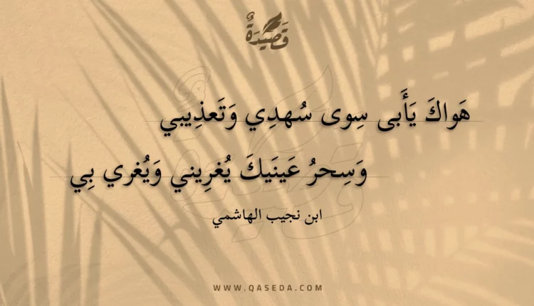 قصيدة هواك يأبى سوى سهدي وتعذيبي