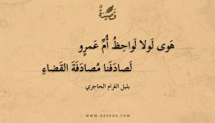 قصيدة هوى لولا لواحظ أم عمرو