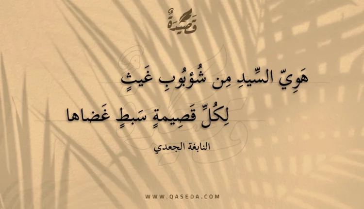 قصيدة هوي السيد من شؤبوب غيث