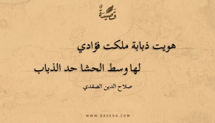 قصيدة هويت ذبابة ملكت فؤادي