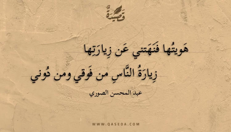 قصيدة هويتها فنهتني عن زيارتها