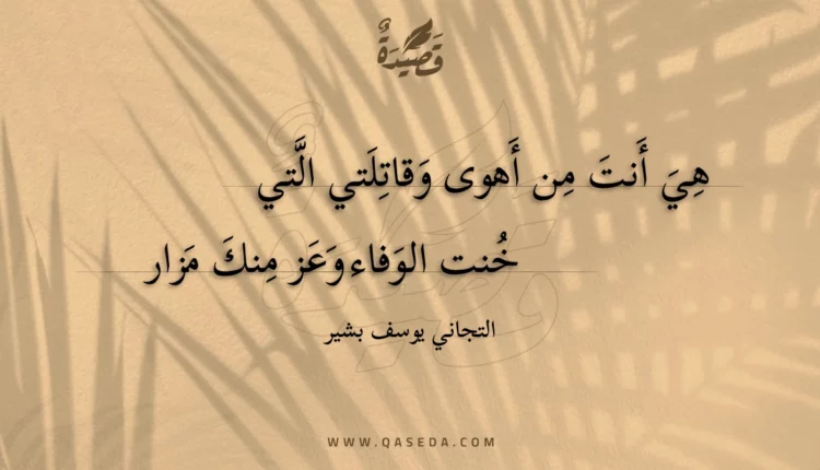 قصيدة هي أنت من أهوى وقاتلتي التي