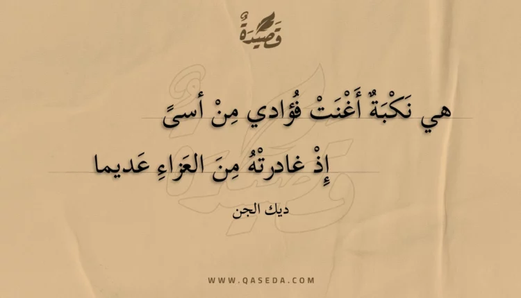 قصيدة هي نكبة أغنت فؤادي من أسى
