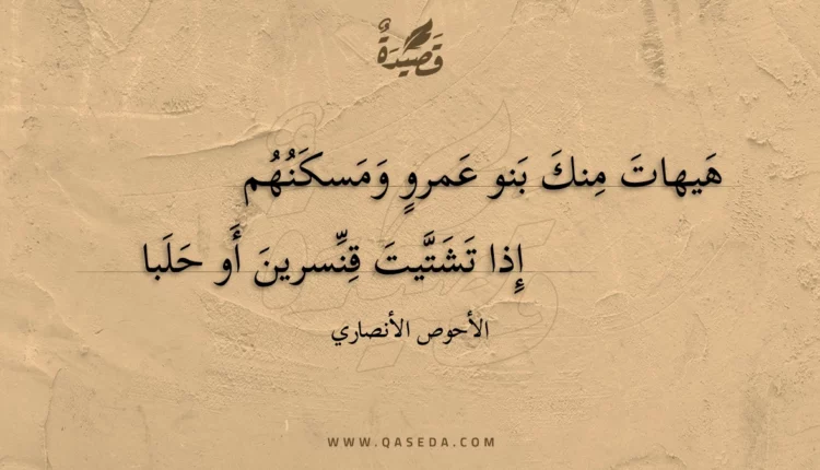 قصيدة هيهات منك بنو عمرو ومسكنهم