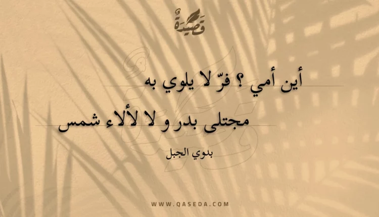 قصيدة و انجلت نفسي في النور