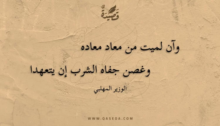 قصيدة وآن لميت من معاد معاده