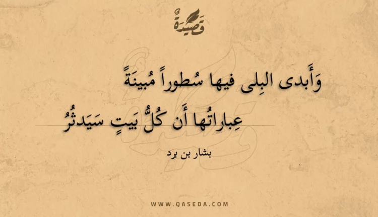 قصيدة وأبدى البلى فيها سطورا مبينة