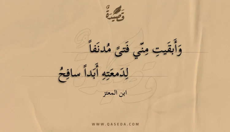 قصيدة وأبقيت مني فتى مدنفا