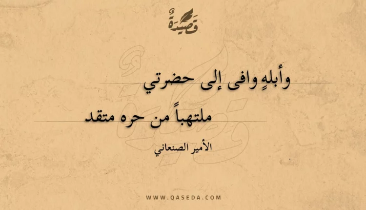 قصيدة وأبله وافى إلى حضرتي
