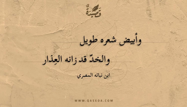 قصيدة وأبيض شعره طويل
