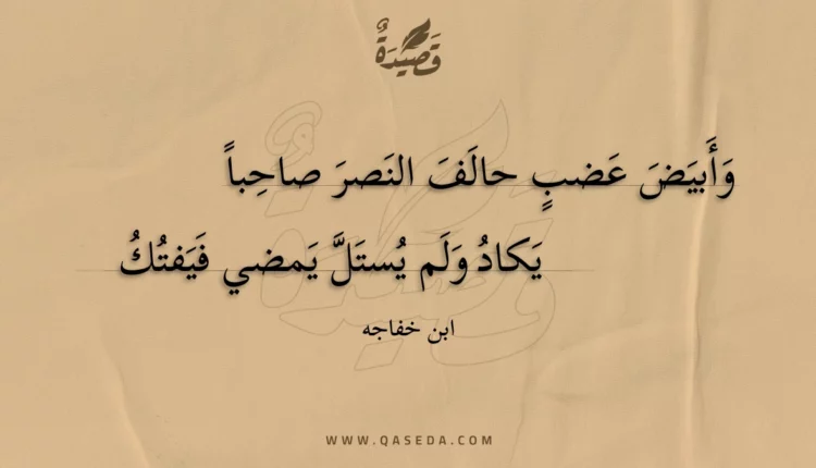 قصيدة وأبيض عضب حالف النصر صاحبا