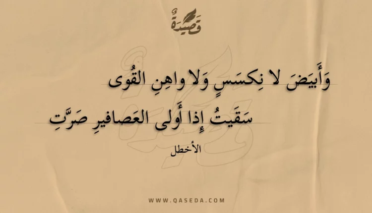 قصيدة وأبيض لا نكسس ولا واهن القوى