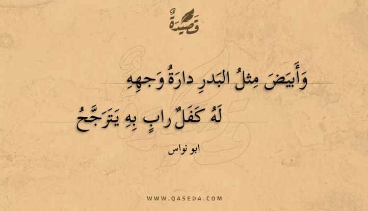 قصيدة وأبيض مثل البدر دارة وجهه