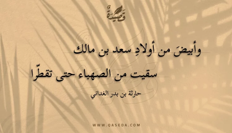 قصيدة وأبيض من أولاد سعد بن مالك