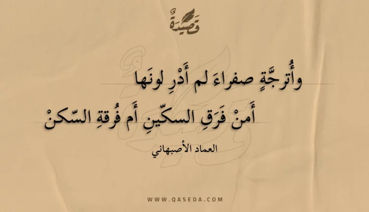 قصيدة وأترجة صفراء لم أدر لونها