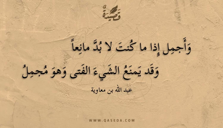 قصيدة وأجمل إذا ما كنت لا بد مانعا