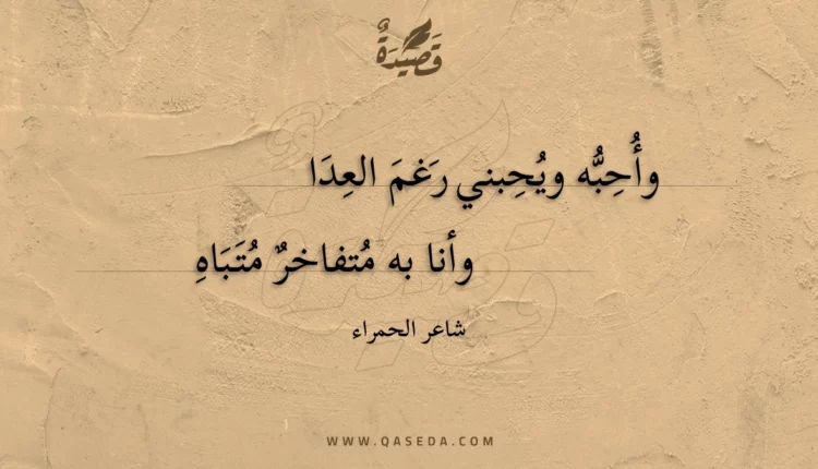 قصيدة وأحبه ويحبني رغم العدا